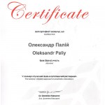 sert_paly