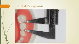 ▒РЮМДЮПМШЕ ЙНПНМЙ и_Ковнацкий_4