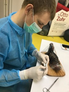Мугогіггівальна хірургія в імплантології_2
